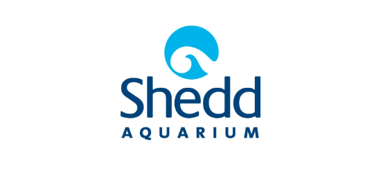 Shedd Aquarium